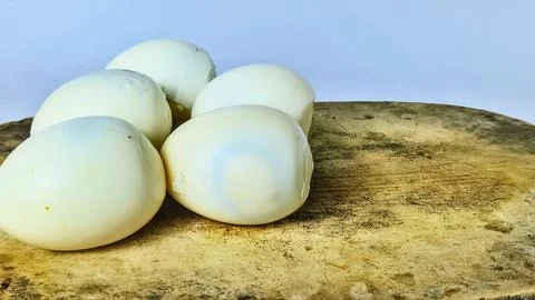 Poached eggs Stock-Fotos