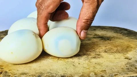 Poached eggs Stock Photos