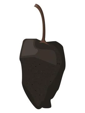 Poblano chilli pepper vegetable Stock Illustration