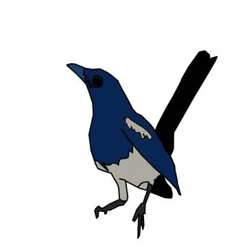 Pocing bird vector that is both beautiful and attractive Stock Illustration