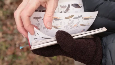 Pocket book Video stock 104975428