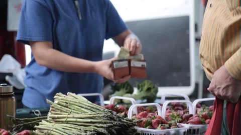 The pocket 動画素材 105420591