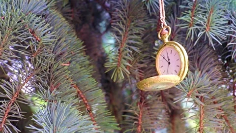 Pocket gold watch Stock-Footage 317758083