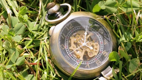 Pocket watch on grass in closeup 库存影片 141120068