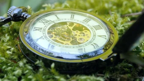 Pocket watch on green moss Vídeo Stock 88517825