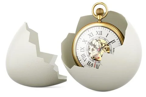 Pocket Watch inside broken chicken egg, 3D rendering Stock Illustration