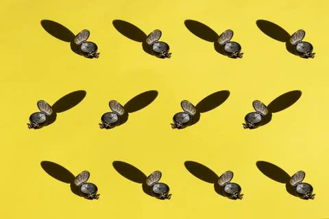 Pocket watch pattern on a yellow background, flat lay. Stock Photos