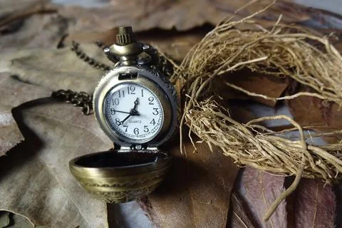 Pocket Watch Stock Photos