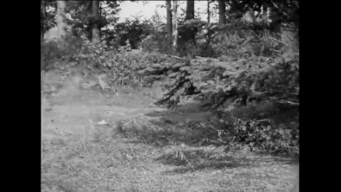 A pocket watch is shown as well as document processing and a grandmother knits. Stock Footage 115672433