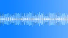 Pocket WatchSound Effect