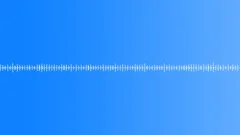 Pocket watch ticking 01 loopSound Effect
