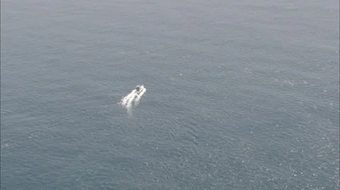 Pod Dolphins Ocean Stock Footage 39899797