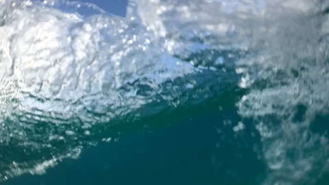 A pod of dolphins passing by 動画素材 127225459