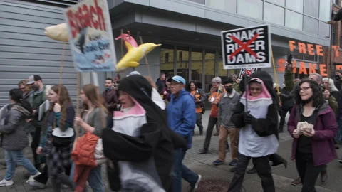 Pod of Orcas &amp; Small Child Marching to Save Orcas incl J35, Tacoma WA 3/26/22 4K Stock Footage 201121916