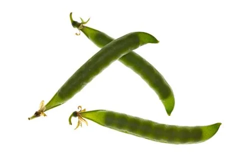 Pod of peas Stock Photos