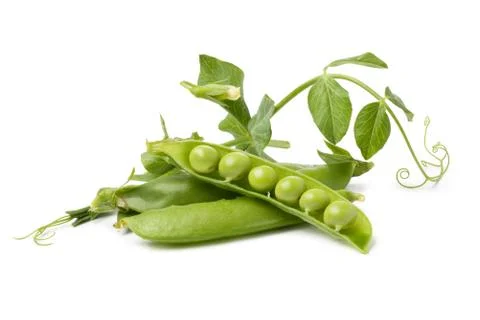 Pod of peas on white background Stock Photos