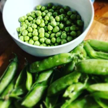 Podded Peas Foto stock