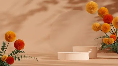 Podium display with a craspedia plant on a solid beige background. Illustrazione stock