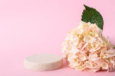 A podium made of stone with hydrangea for the presentation of products and co Stock Photos