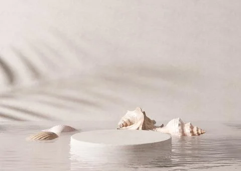 Podium standing in water, with palm shadow and sea shells. Beautiful mock up for Stock Illustration