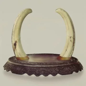 Podium Tusks Illustrazione stock