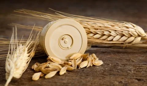 Pods of barley Stock Photos
