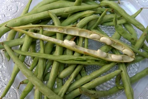 Pods of Beans Stock Photos