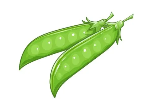 Pods of Pea. Stock Illustration