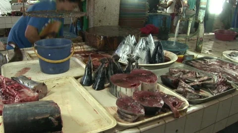Poerto Princesa market 13 Video stock 499341