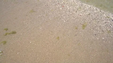 Pogradec wave Video stock 313558463