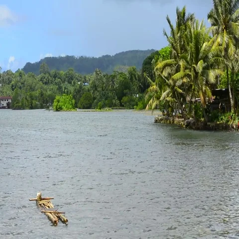 Pohnpei Micronesia traditional bamboo flat boat with palm trees in bay 스톡 동영상 69668564