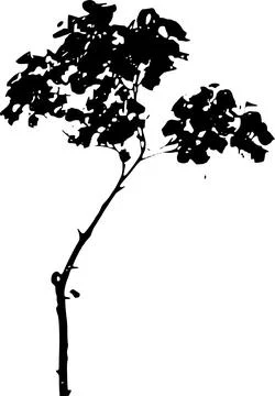 Pohon3 Stock-Illustration