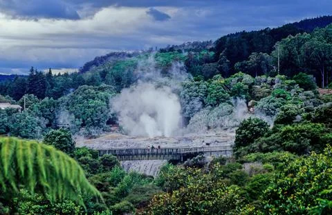 Pohutu Geyser Stock Photos