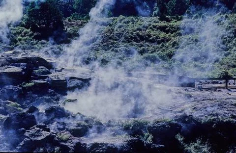 Pohutu Geyser Stock Photos