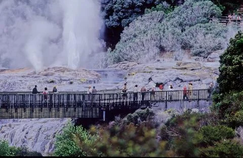 Pohutu Geyser Stock Photos