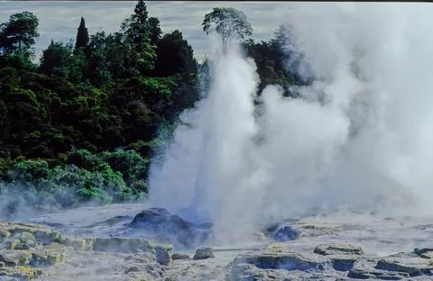 Pohutu Geyser Stock Photos