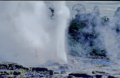 Pohutu Geyser Stock Photos
