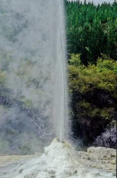 Pohutu Geyser Foto stock