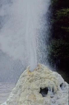Pohutu Geyser Stock Photos