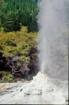 Pohutu Geyser Stock Photos