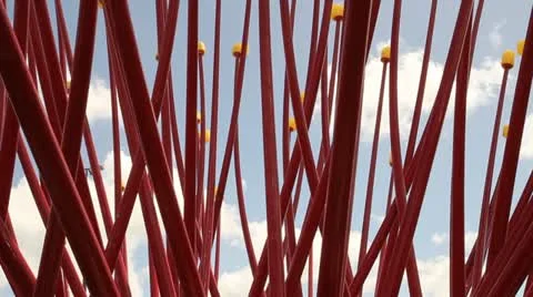 Pohutukawa Flower monument Stock Footage 11761006