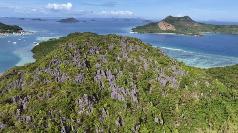 POI drone shot of limestone cliffs covered in lush vegetation at Ile Island in Stock Footage 332247384