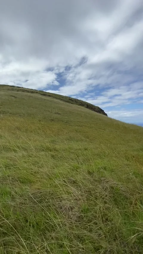 Poike volcano in Easter Island 스톡 동영상 342841737