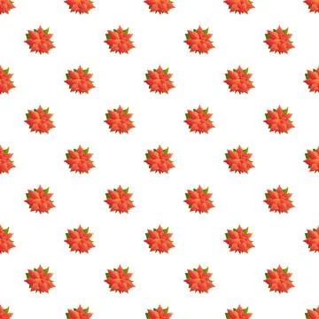 Poinsettia flower pattern representing winter holiday decoration Stock Illustration