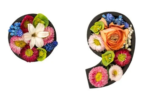 Point and comma marks made of real natural flowers on transparent background. Stock Illustration