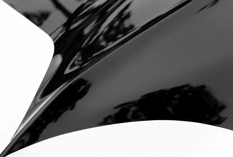 Point Black 库存照片