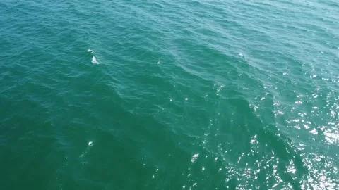 Point Dume , Malibu Stock Footage 274040379