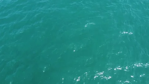 Point Dume , Malibu Stock Footage 274040550