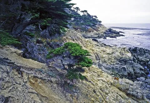 Point Lobos Stock Photos