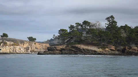 Point Lobos State National Reserve Stock Footage 101336615